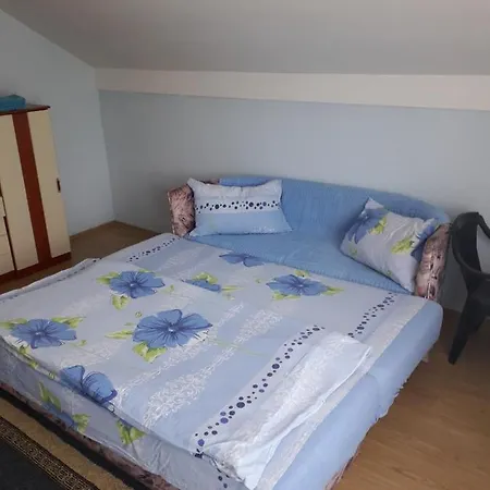 Prenociste Vitas